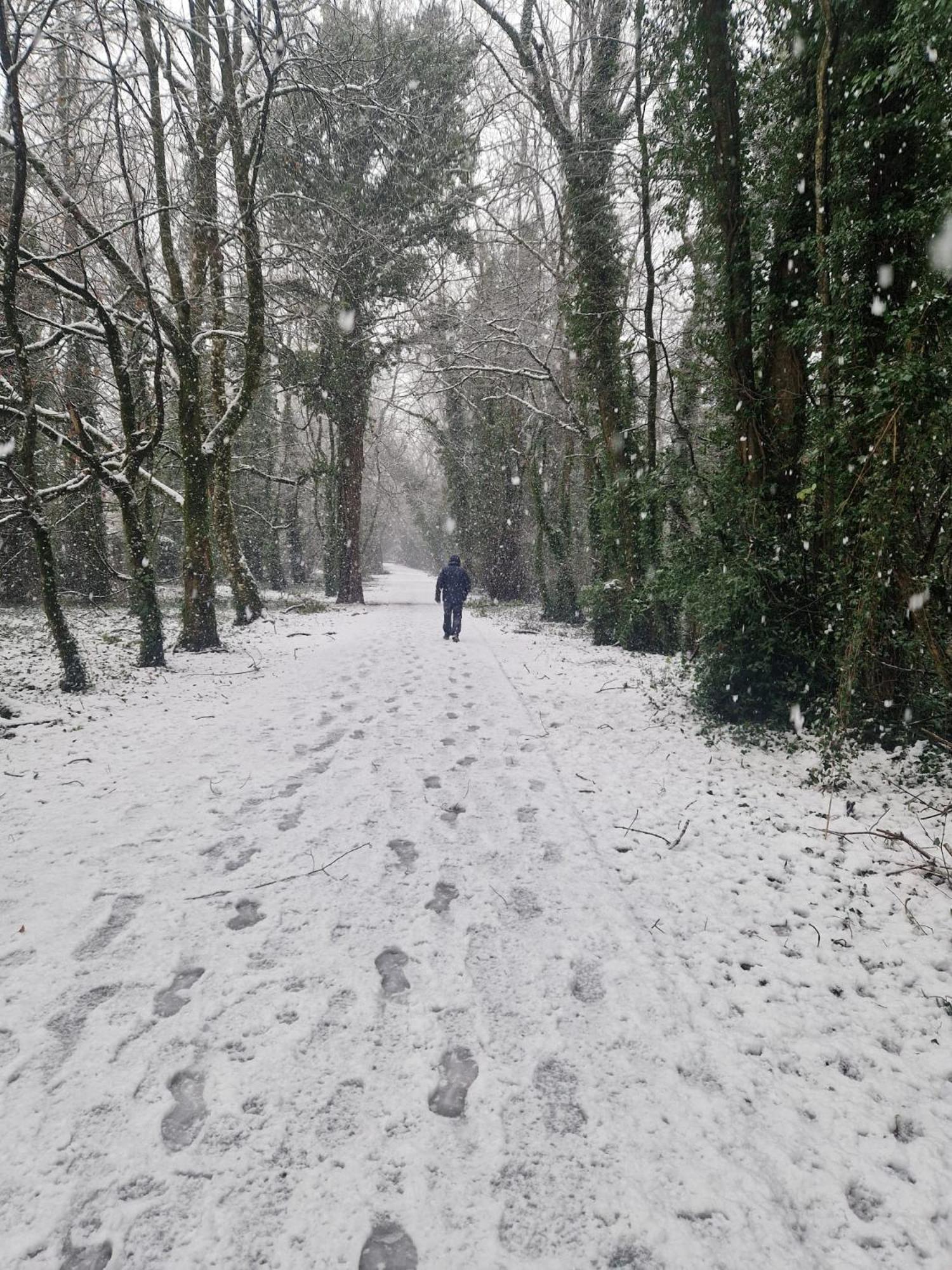 Oakdale, Templemore, E41F856 Luaran gambar